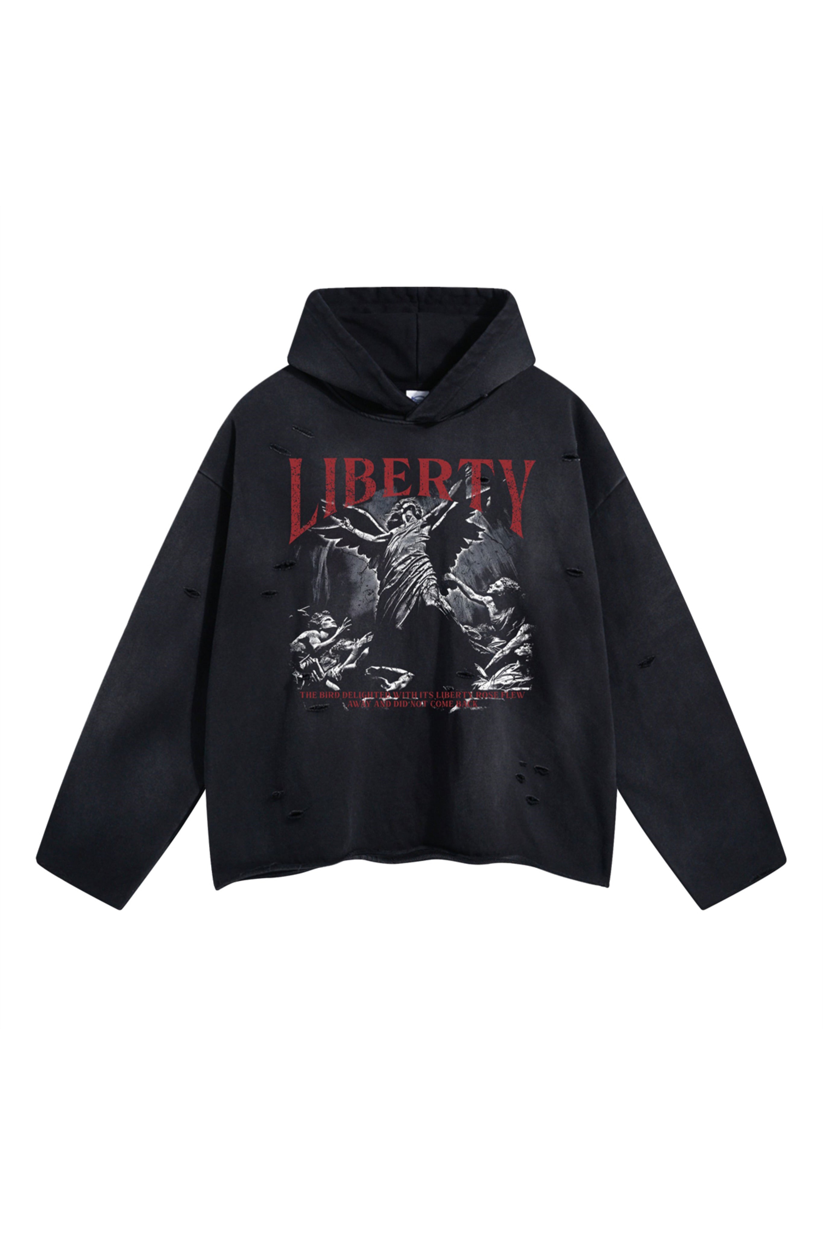 LIBERTY AR TIE MASTER BLACK HOODIE